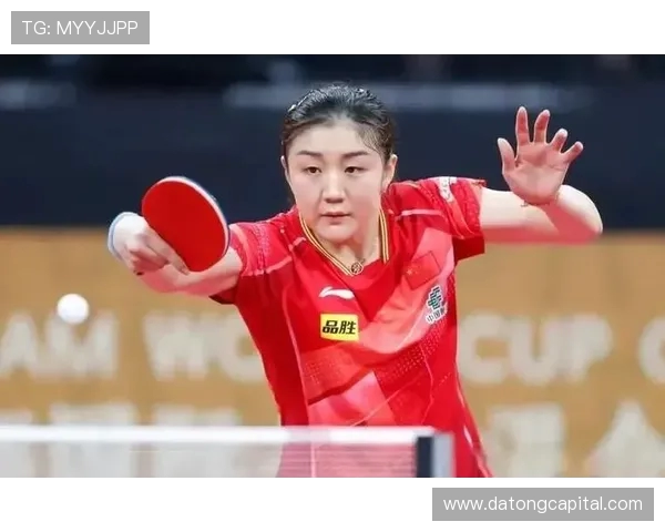 杨芳乒乓球人生的深度对话与心路历程探索 杨芳乒乓球人生的深度对话与心路历程探索
