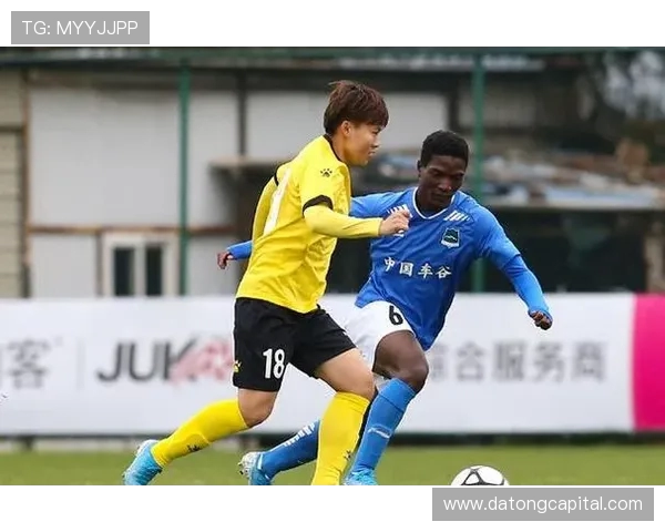 武汉排球队转换策略分析及其对比赛表现的影响探讨