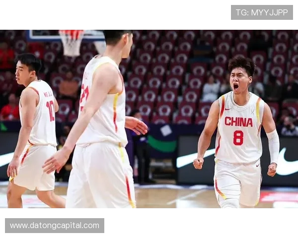 中国蓝队与新西兰精彩对决全场录像回放及精彩瞬间分析