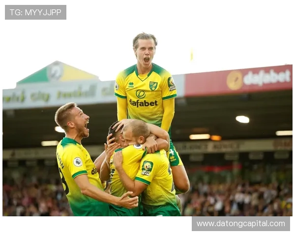 曼城与诺维奇1516赛季精彩对决回顾与分析