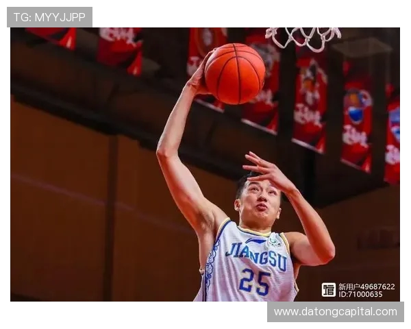 王泉泽的篮球之路从校园到职业赛场的成长与挑战