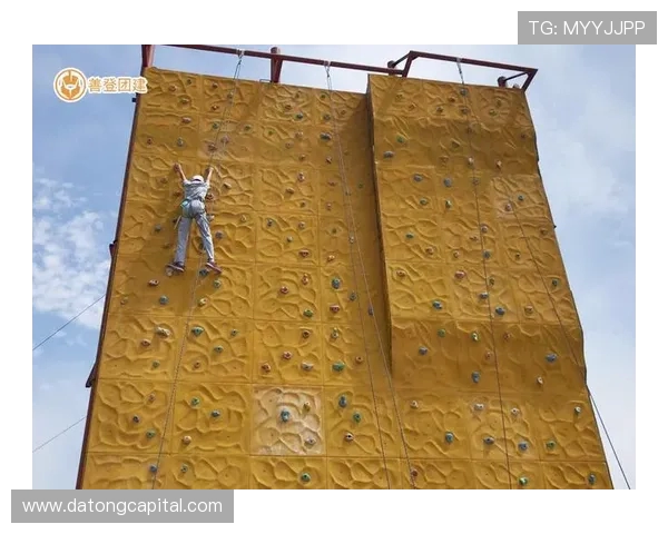 攀岩深度解析南京攀岩队防守策略与技巧的全面探讨